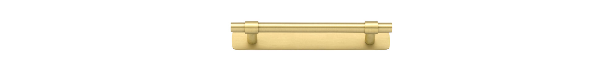 Cabinet Pull Helsinki Brushed Gold PVD L173xP39mm BD11mm CTC128mm With Backplate W173xH24mm T3mm in Brushed Gold PVD