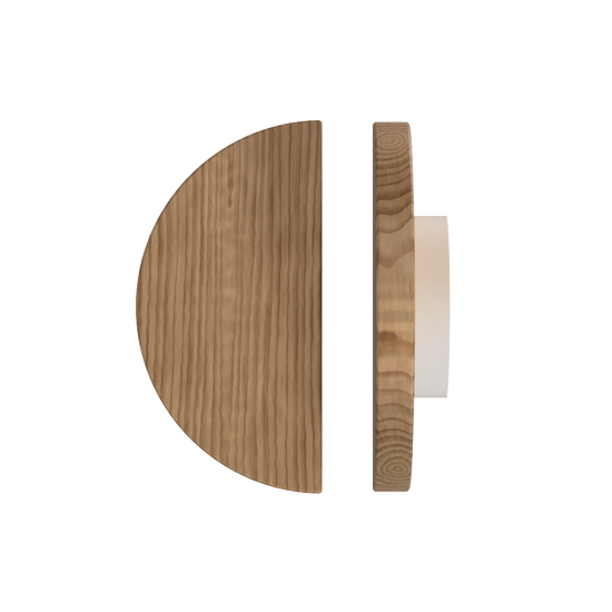 Single T02 Timber Entrance Pull Handle, American Walnut, Ø300mm, in Raw Timber (ready to stain or paint) in Walnut / Powder Coat