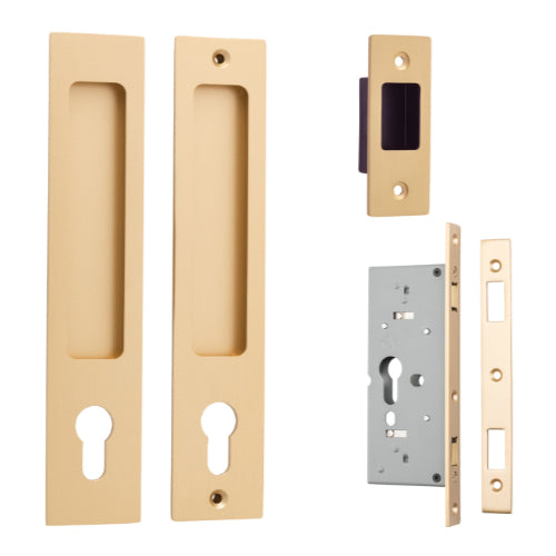 Sliding Door Pull Rectangular Euro Pair Brushed Brass H225xW45xP2.5mm in Brushed Brass