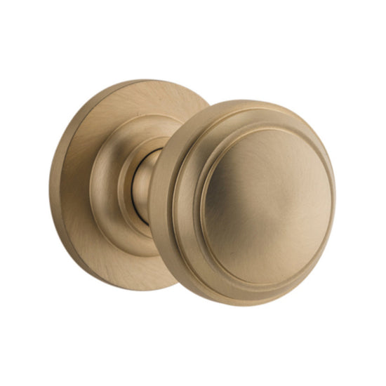 Door Knob Paddington Round Rose Concealed Fix Brushed Brass D54xP68mm BP58mm in Brushed Brass