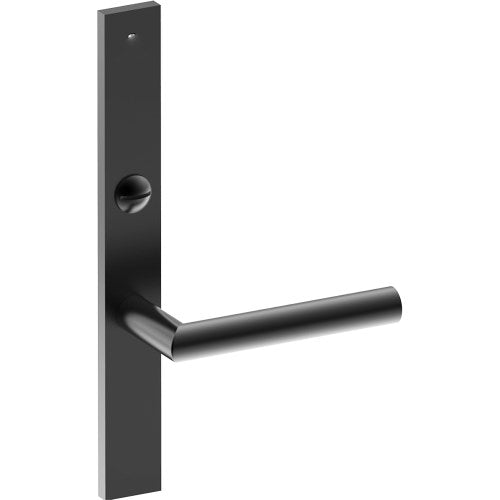 CETINA Door Handle on B02 EXTERNAL Australian Standard Backplate with Emergency Release, Concealed Fixing (Half Set) 64mm CTC in Black Teflon