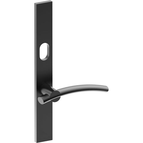 LAGUNA Door Handle on B02  EXTERNAL Australian Standard Backplate with Cylinder Hole, Concealed Fixing (Half Set) 64mm CTC in Black Teflon