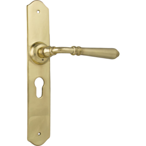 Door Lever Reims Euro Pair Polished Brass H240xW40xP70mm in Polished Brass