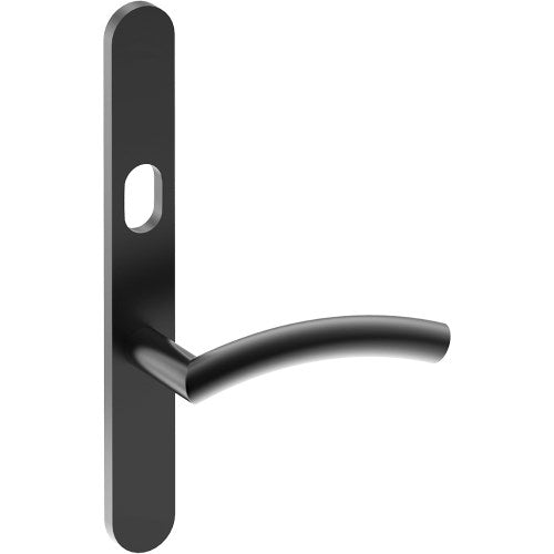 TRIESTE Door Handle on B01 EXTERNAL Australian Standard Backplate with Cylinder Hole, Concealed Fixing (Half Set) 64mm CTC in Black Teflon